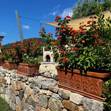 Villa Aiali Marina di Campo Exterior photo